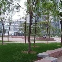 【16图】《王亚俊》只发真帖子 此房真实出租