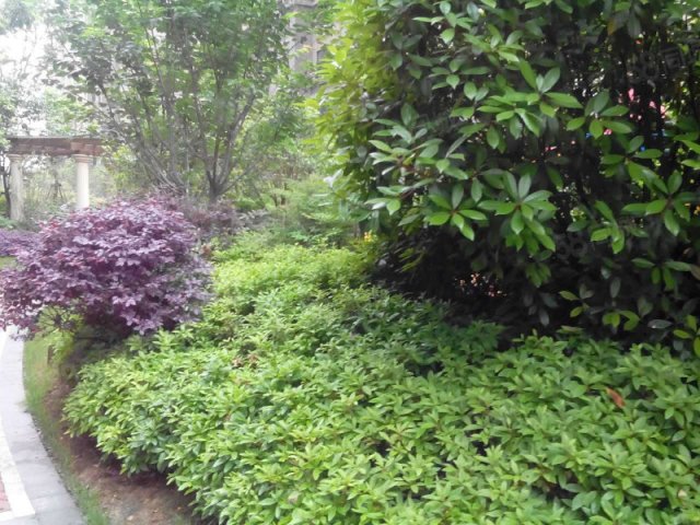 【15图】首付48万《巴黎都市四期》两房朝南