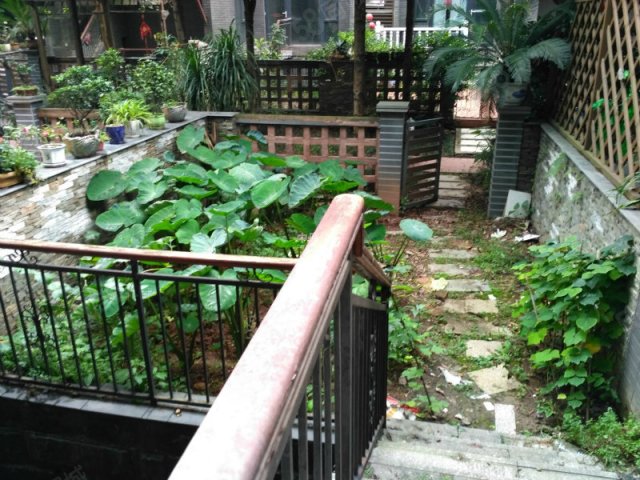 【13图】金科十年城入室花园洋房 使用面积超