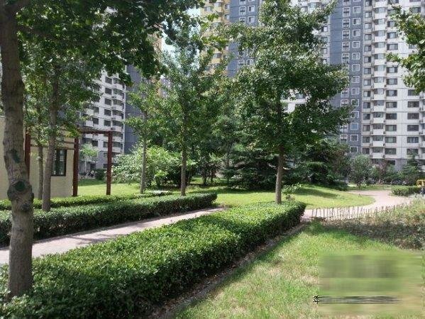 【9图】观景园 观澳园 观林园 宝盛里 两居室5