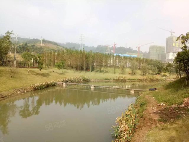 【11图】茶园新区鲁能骏府小洋楼带珊瑚名校