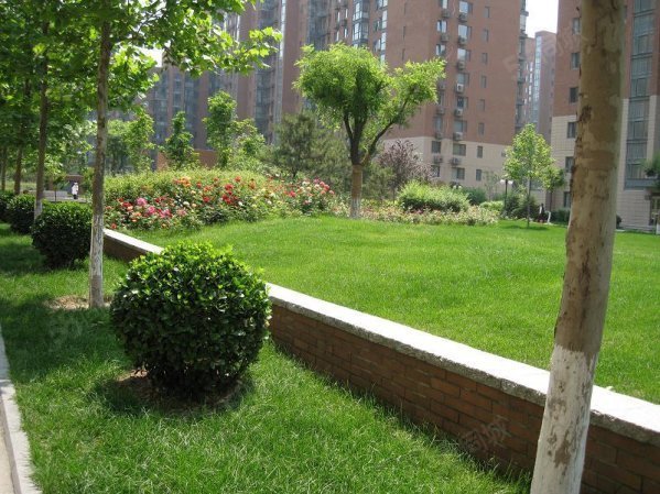 代 南北大三居 诚意出售,海淀区太平路36号院西