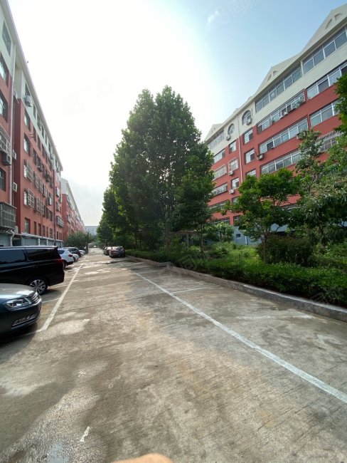 开元小区(岱岳)3室2厅1卫125㎡南北118万