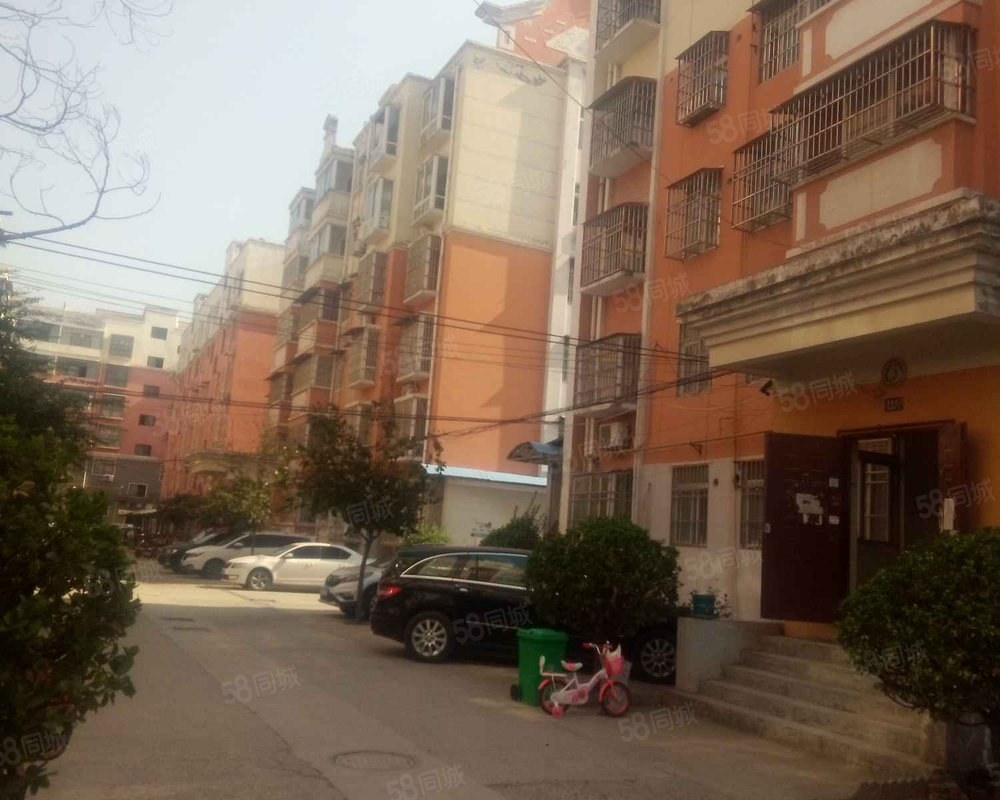 梅苑小区