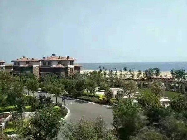 【10图】滨海新区是天津一处不限购的地方,自