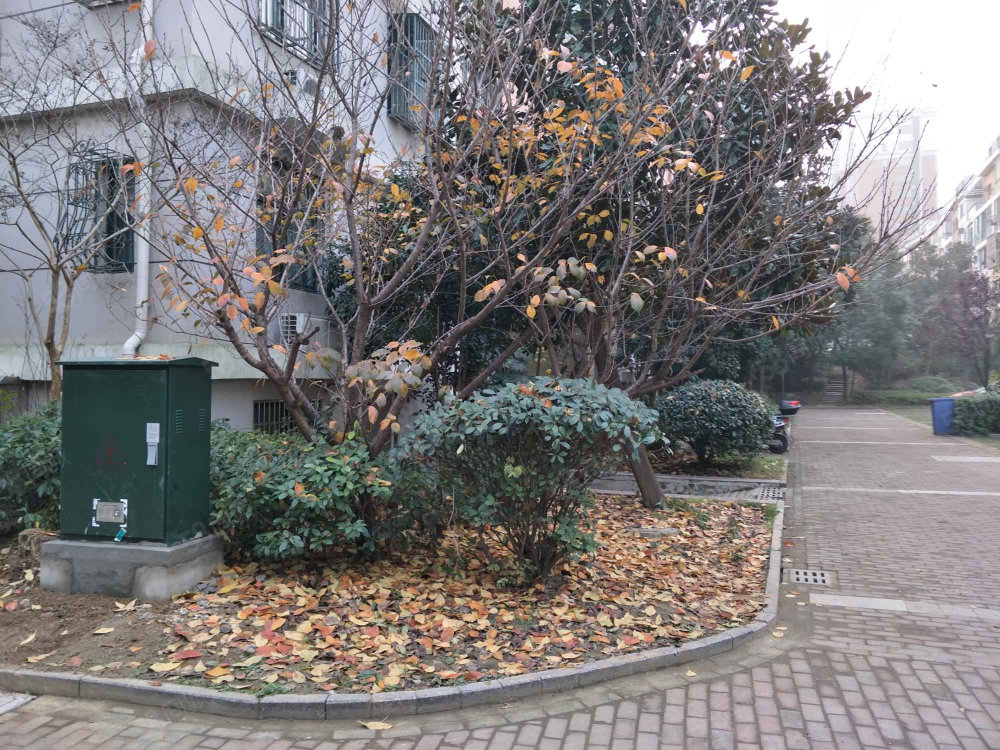 凤来仪花园-小区详情-房产首页
