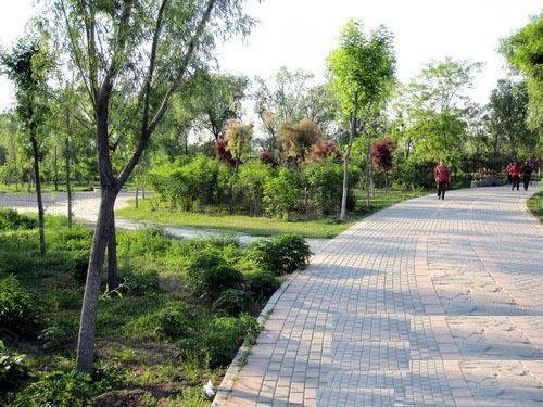 【7图】望京大山子798附近金盏嘉园1室出租,