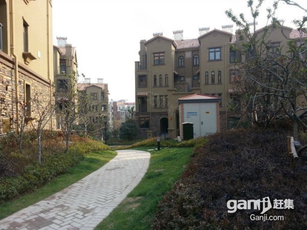 【6图】政务新区奥体中心 安医二附院旁格林硅