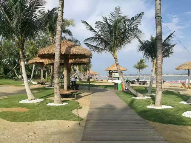 【9图】《出售》海外置业马来西亚森林城市免