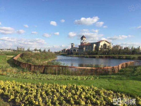 【9图】崇明绿地长岛 房价每天都在涨您还不下