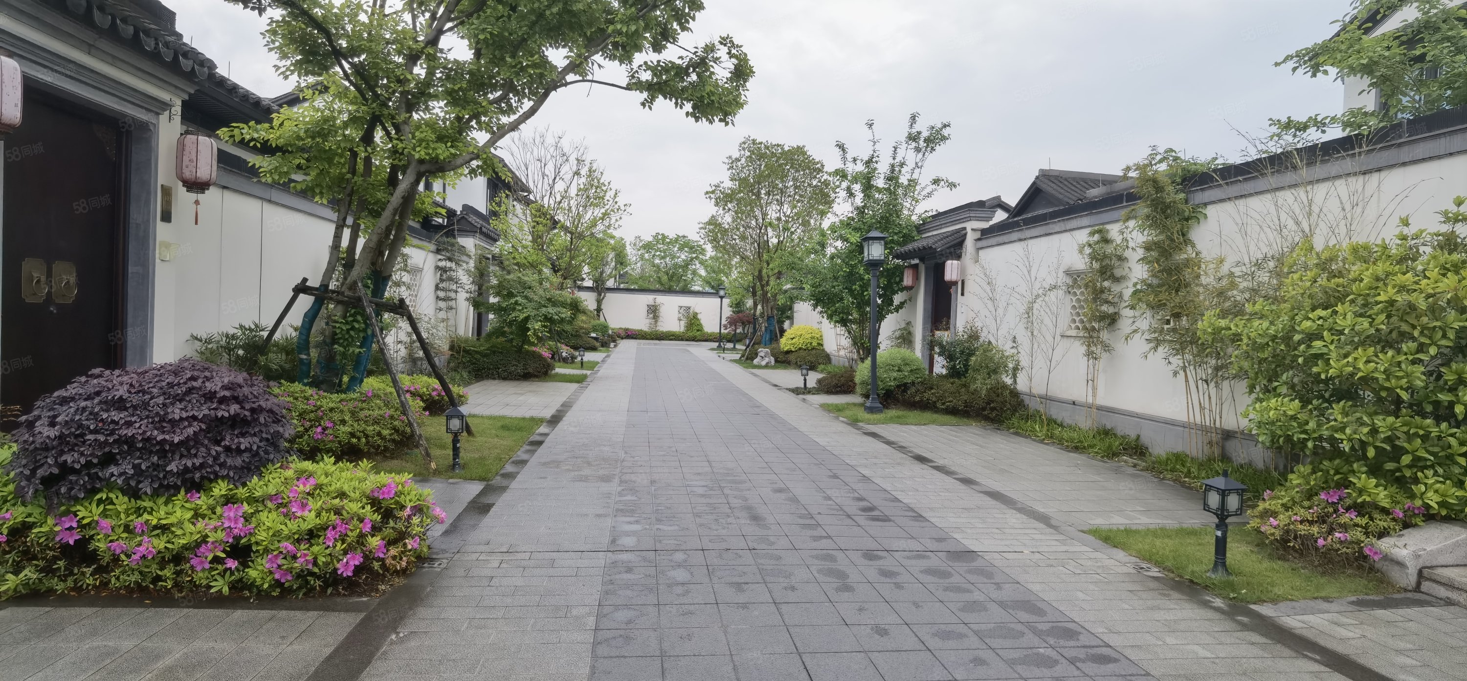 临安桃李春风,小三房中式合院,房东置换之江独栋,诚意出售!