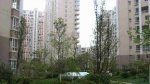 书香门第8038元/平米