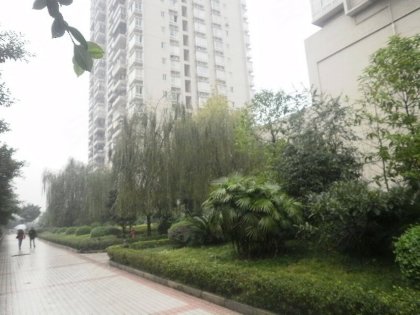 杰信华府 广场,红光大道 重庆 杰信华府 广场二手高清图片