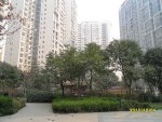 华城国际7901元/平米