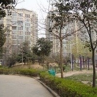 口-郑州东方明珠二手房、租房-郑州安居客