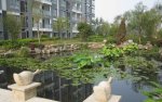 江南水郡7058元/平米