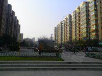 实景图