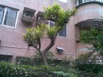 龙威花园2343元/平米