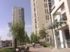 八大街西区二手房60万元
