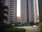维多利花园2739元/平米