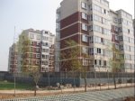 盛世中华1500元/平米