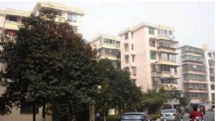 新苑,东方红中路392号-长沙桔洲新苑二手房、