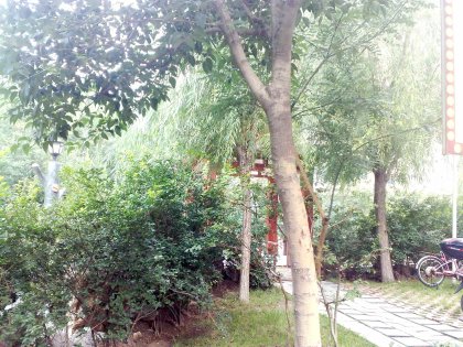 亚星江南小镇_租房_小区_二手房价格_