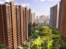 万科金色城市