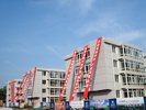 大学城11号