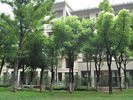 中鹰黑森林