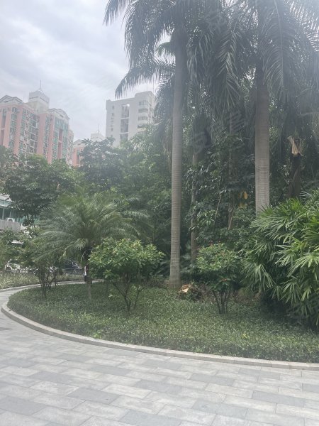 海滨广场(福田)