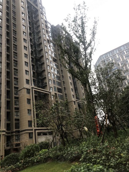 和昌湾景国际(一期),汝河路156号-郑州和昌湾景国际()