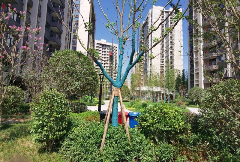万科森林公园,甘悦大道,近春华大道-重庆万科森林公园