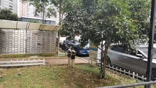 东沙花园北区