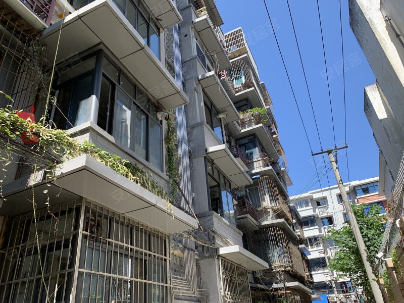 双林路101号院