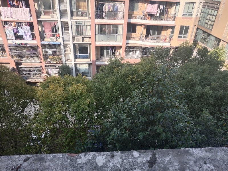 金碧汇虹苑,金碧路1980弄-上海金碧汇虹苑二手房,租房