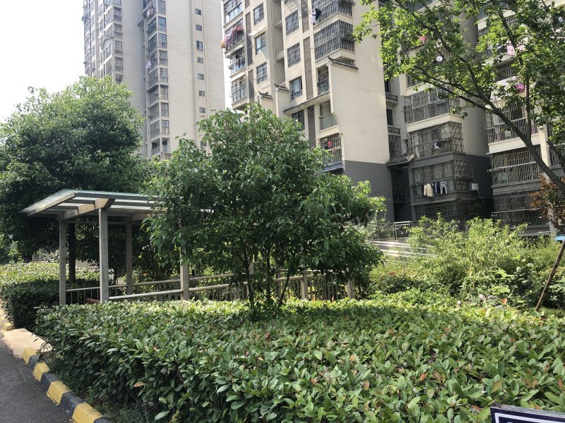 龙池花园,明光西路,近西涧北路-滁州龙池花园二手房,租房,房价-滁州