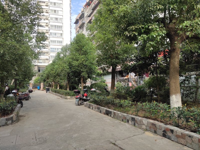 新府花园,康源路216号-温州新府花园二手房,租房,房价