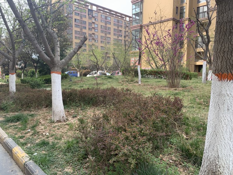 阳光上东,高新大道199号-宝鸡阳光上东二手房,租房