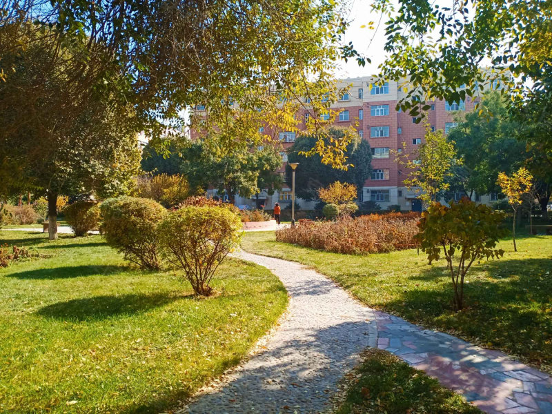 新疆大学北校区家属院