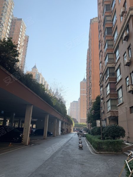 东海星城(东海花园五期)