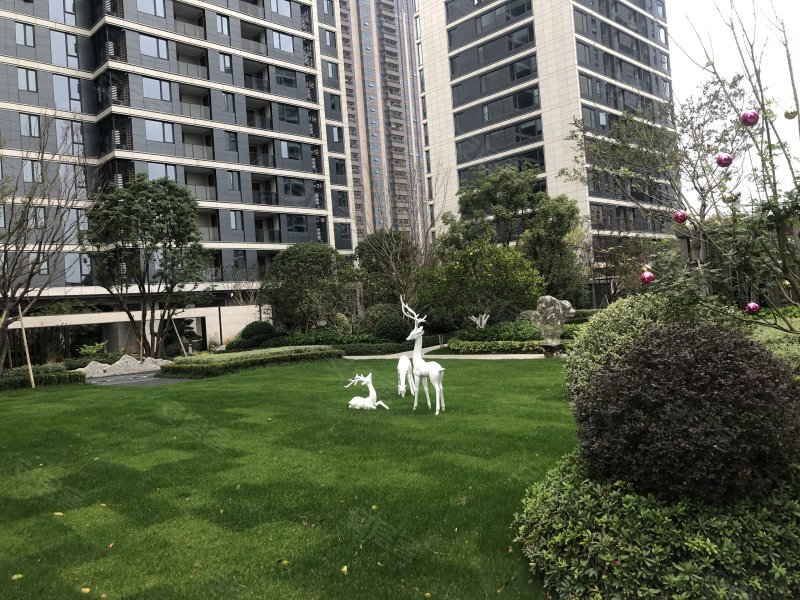 中国铁建花语江南,城南路,近中环南路-嘉兴中国铁建花语江南二手房