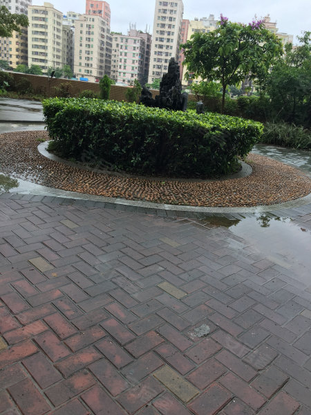 鸿盛御景,大浪北路36号-深圳鸿盛御景二手房,租房,房价-深圳安居客