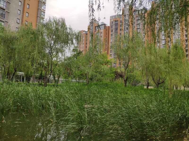 浐灞半岛朱雀金堤a15区,灞柳一路-西安浐灞半岛朱雀区