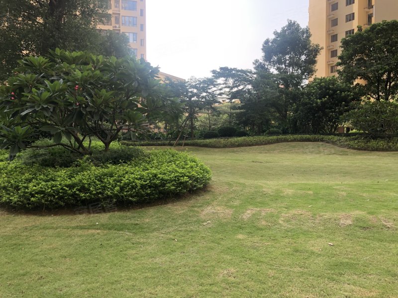 天宁白鹭湾,珊瑚路,近紫荆街-防城港天宁白鹭湾二手房