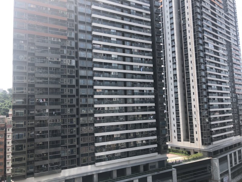 深业东岭