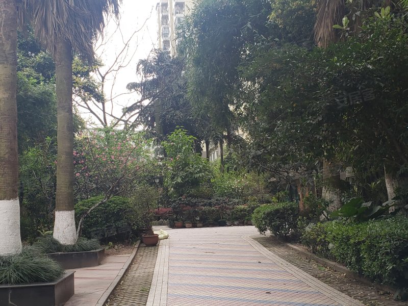 美堤雅城(a区),汇龙路66号-重庆美堤雅城(a区)二手房,租房,房价-重庆