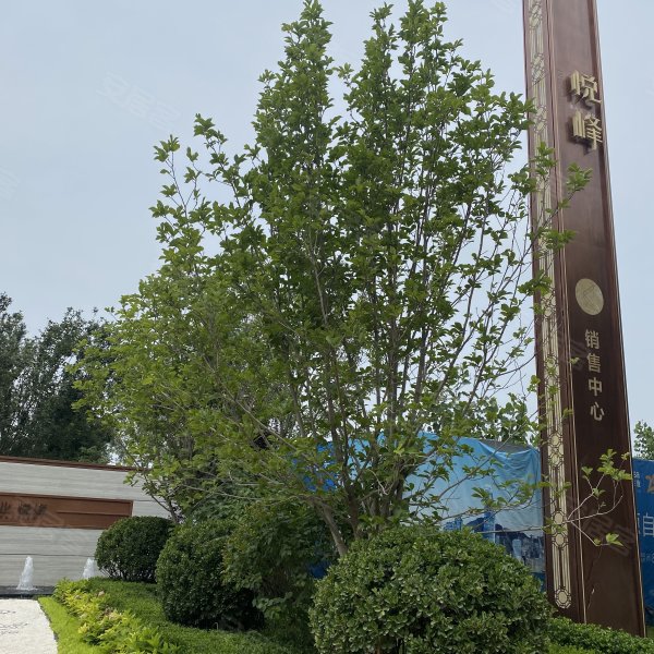 佳兆业悦峰(霸州)