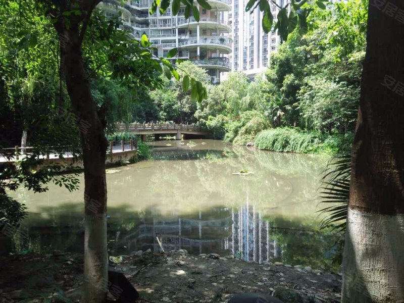 天鹅湖花园