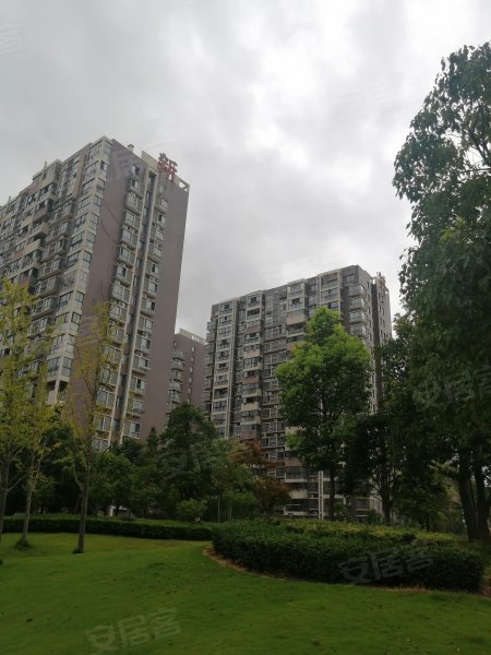 东雅新村